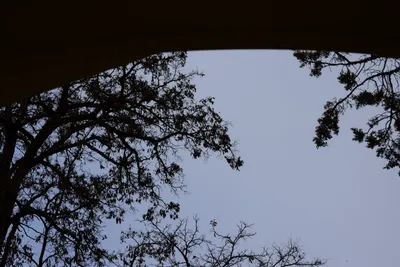 DSC_3135 (Large).JPG